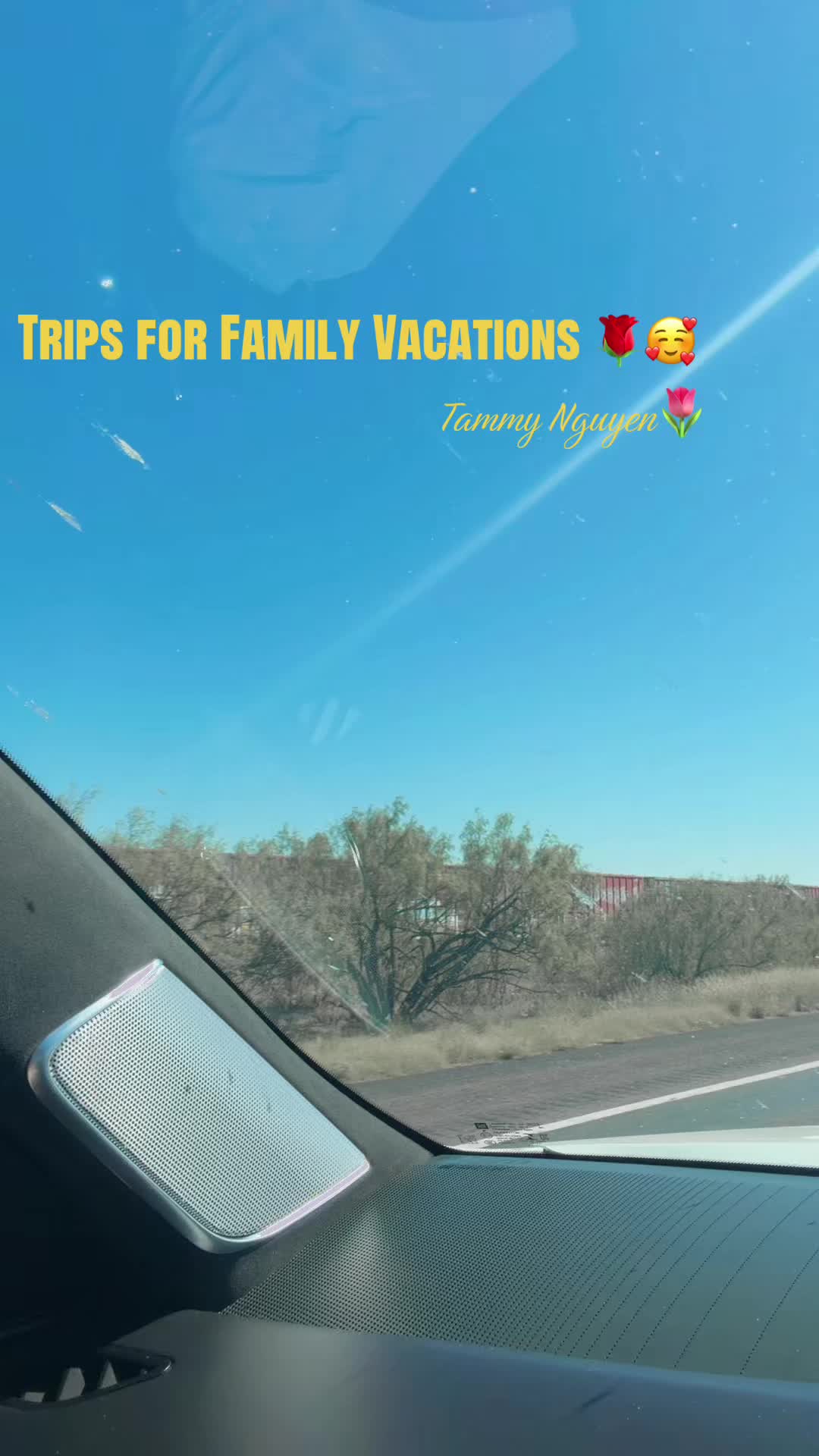 @Tammy Nguyen