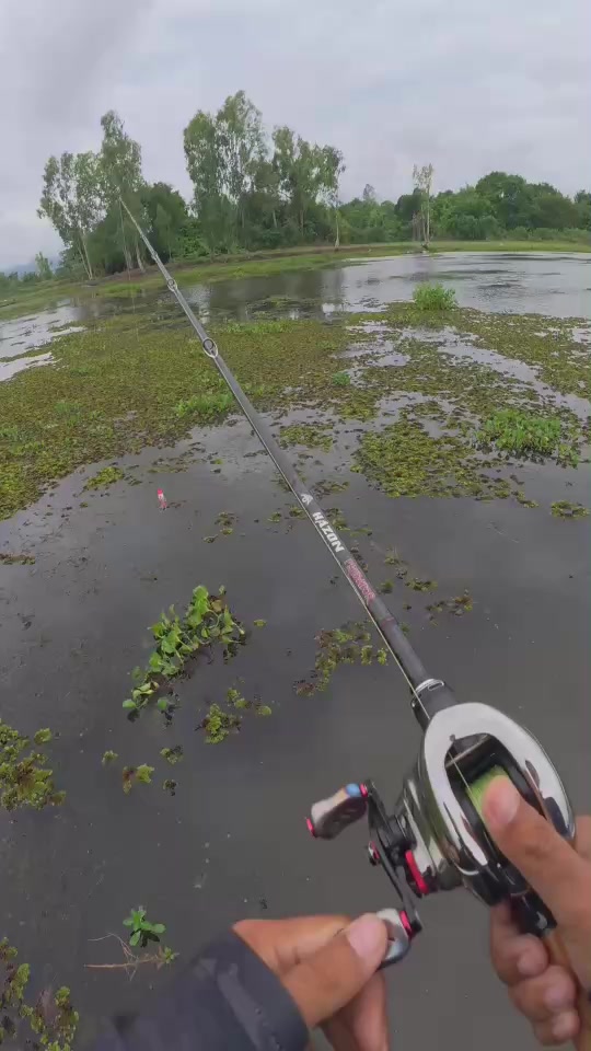 @HAZON TACKLE