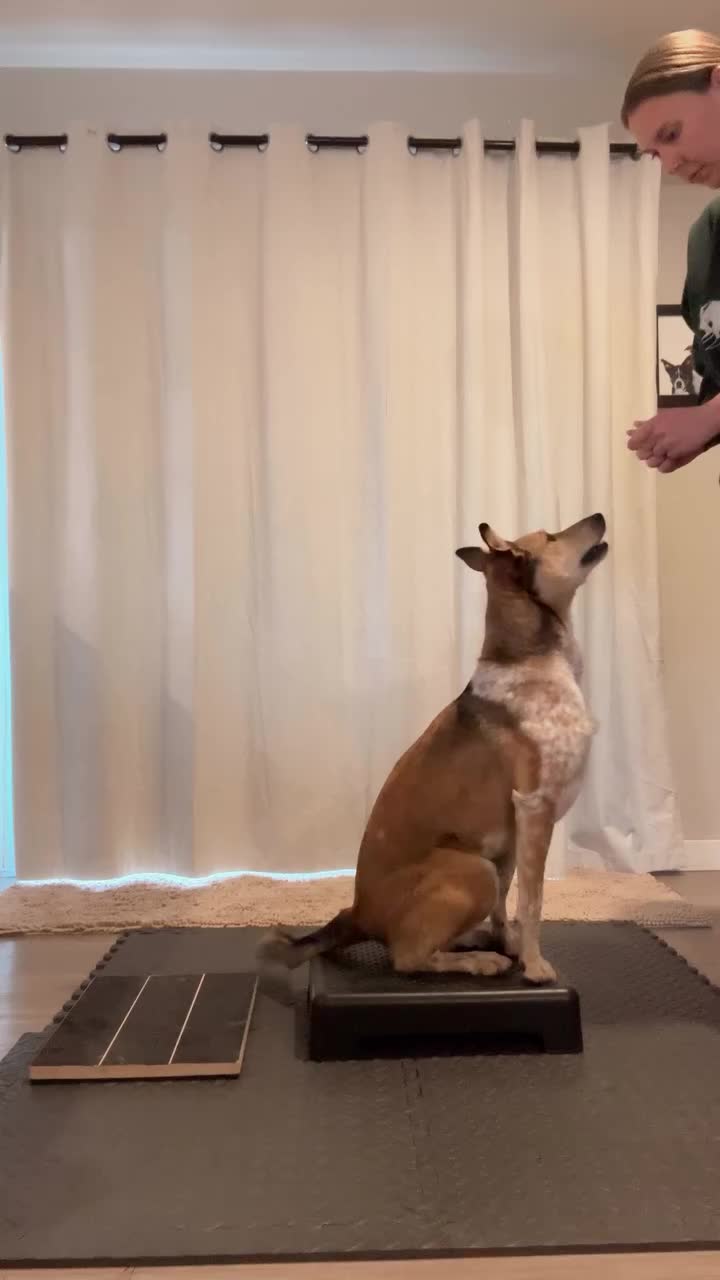 @Marissa | Kota & Aspen