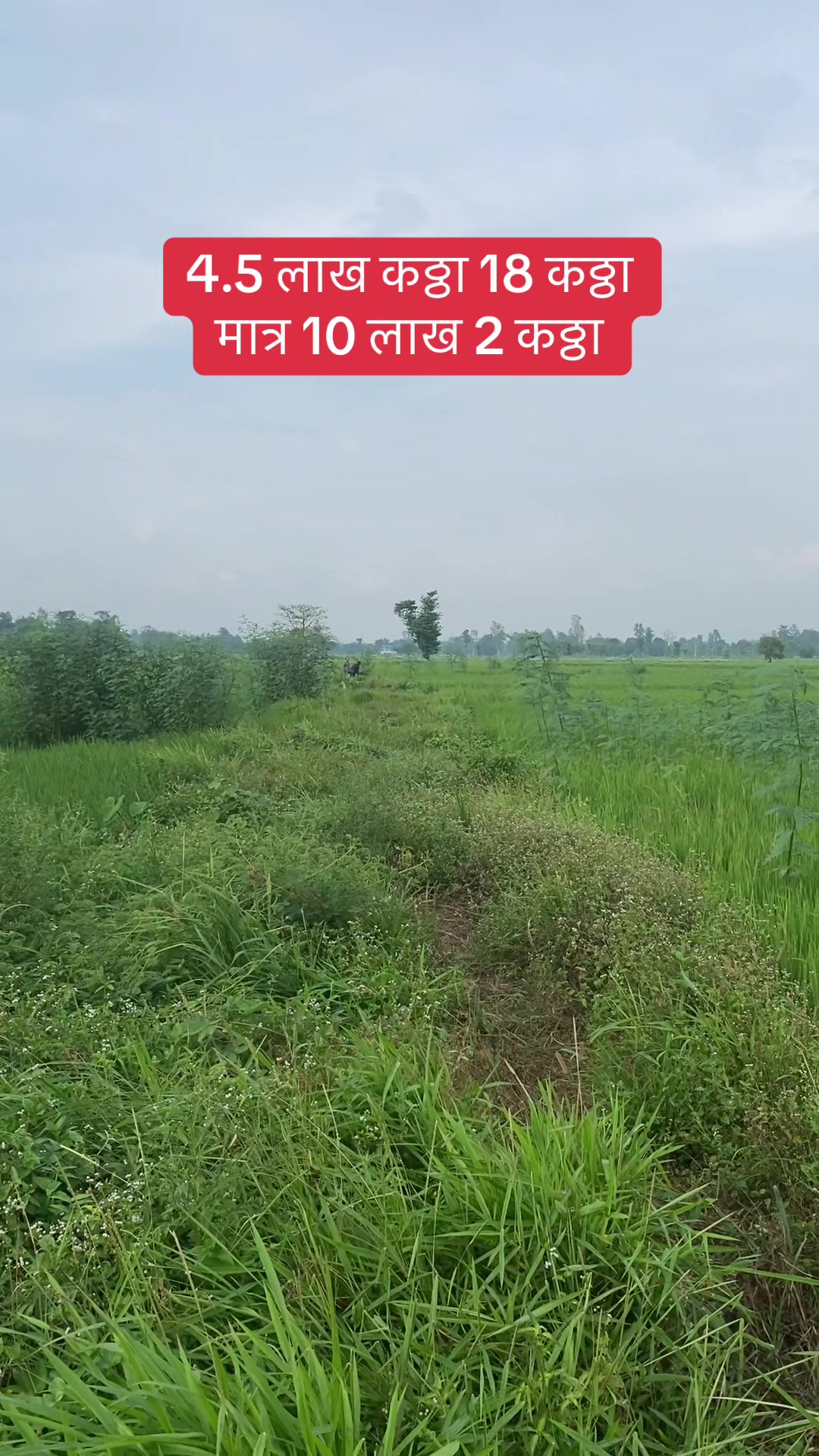 @Bhuban Thapa Real Estate