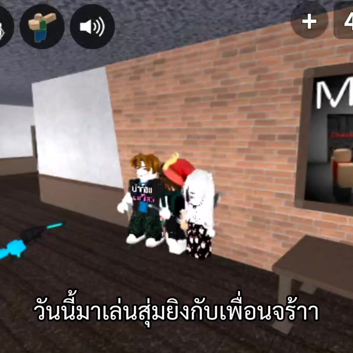 @นกฮูกแมว