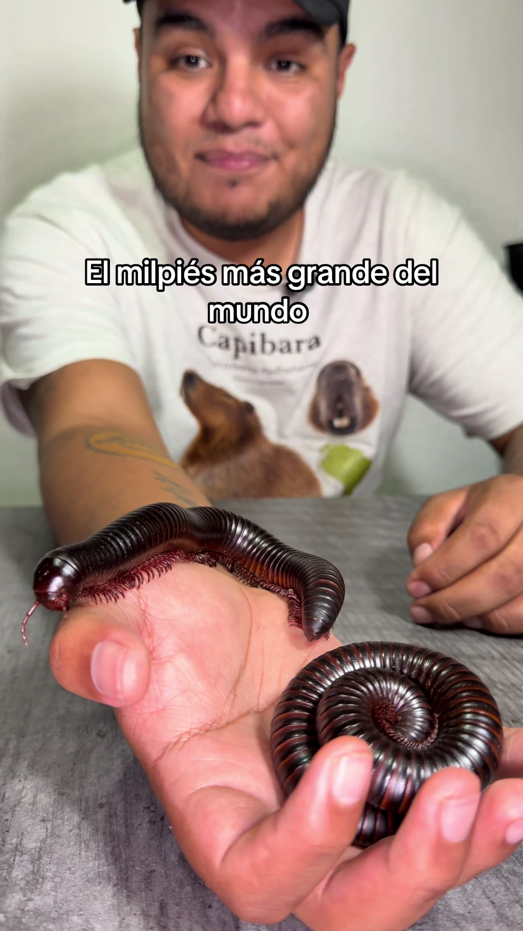 @Jair Herrera 🐆