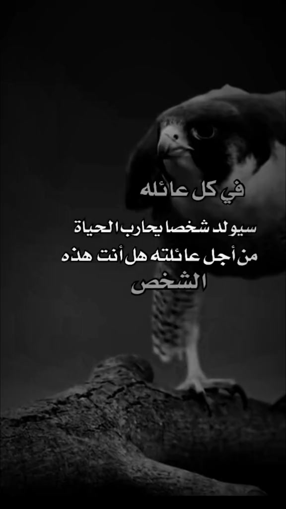@؏ـاشـᬼـق☽ᬼ🇾🇪⑅⃝التحـᬼـدي😌✌️