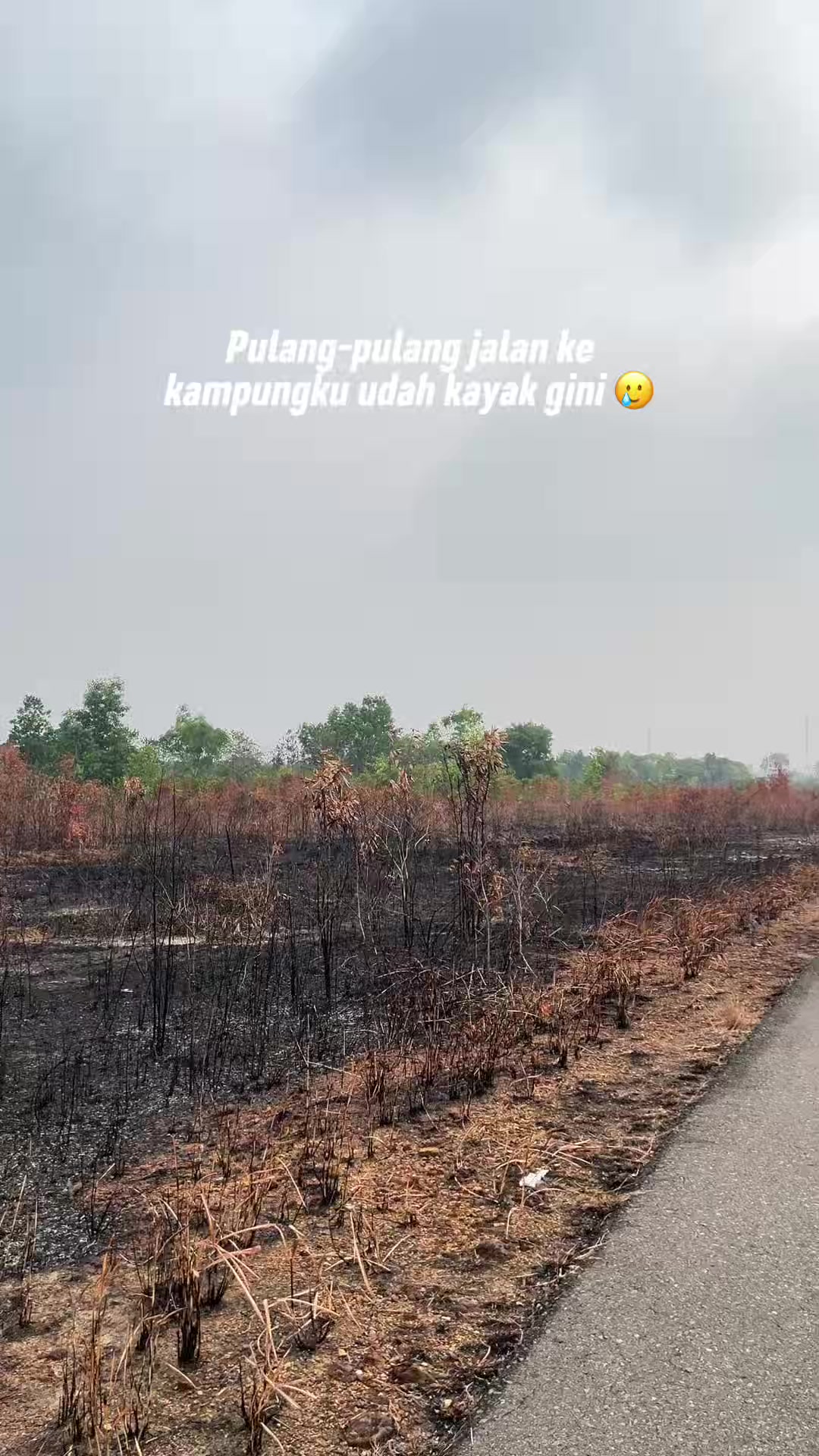 @bang_yudaaa