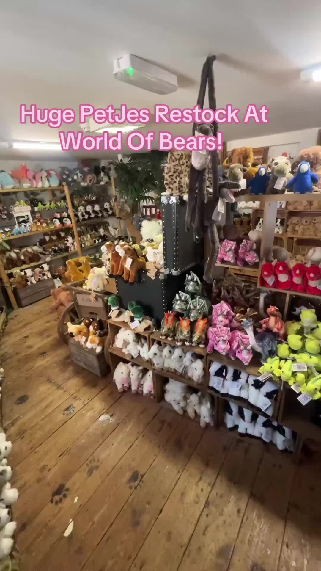 @World of Bears