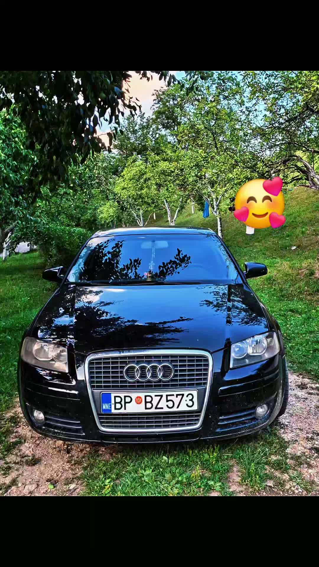 @Vesna Stefan Bubanja