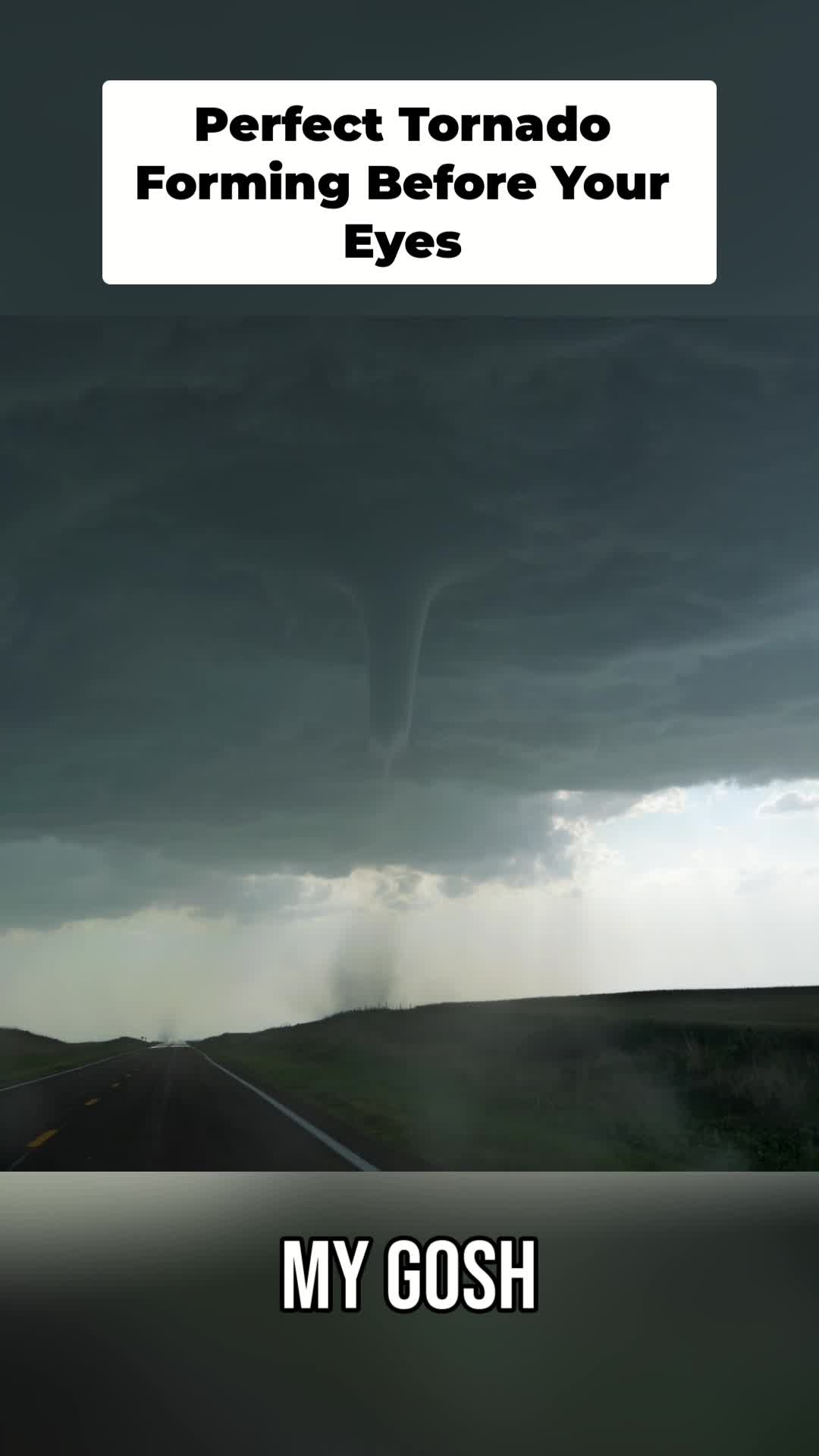 @🌪️ tornado season 🌪️
