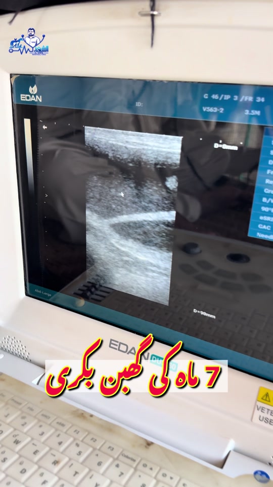 @Dr.Mohsin