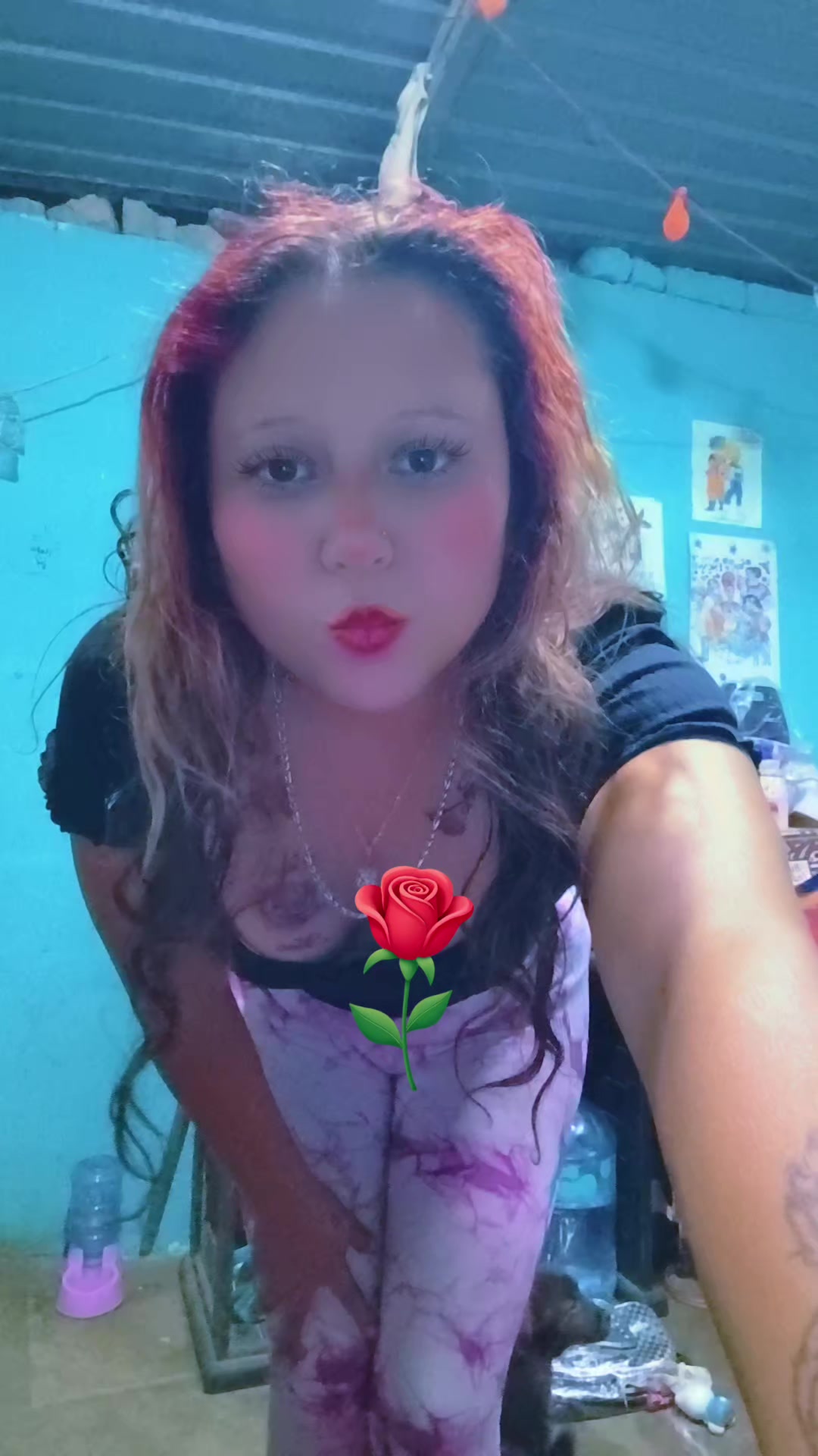 @Estivalis