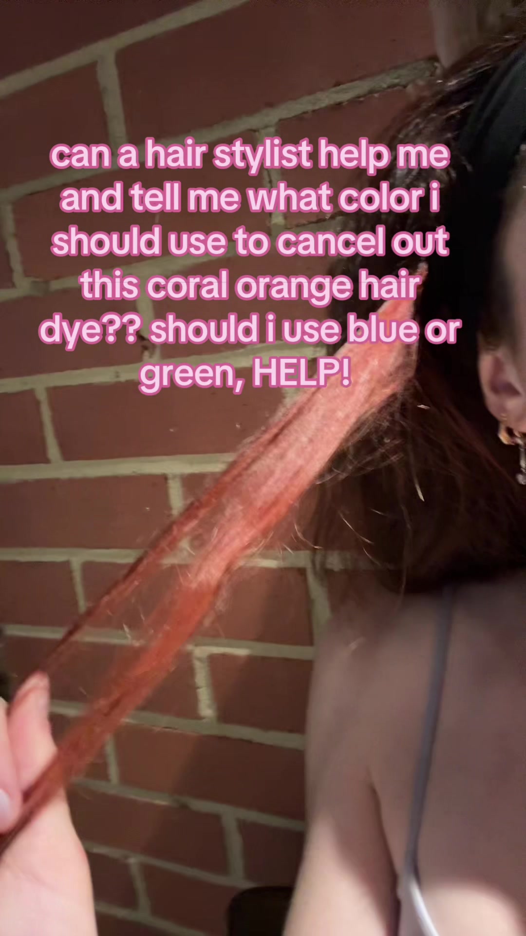 @dalya
