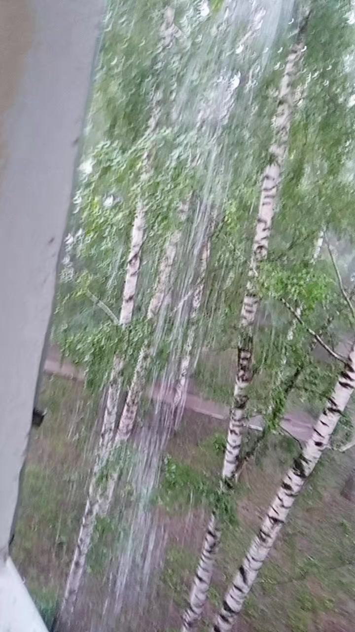 @Standik22800