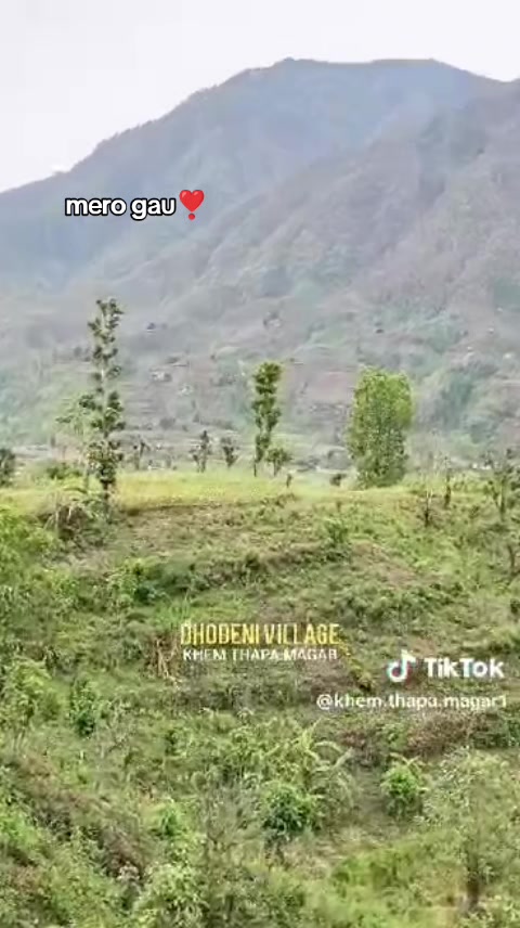 @@neemthapamgr