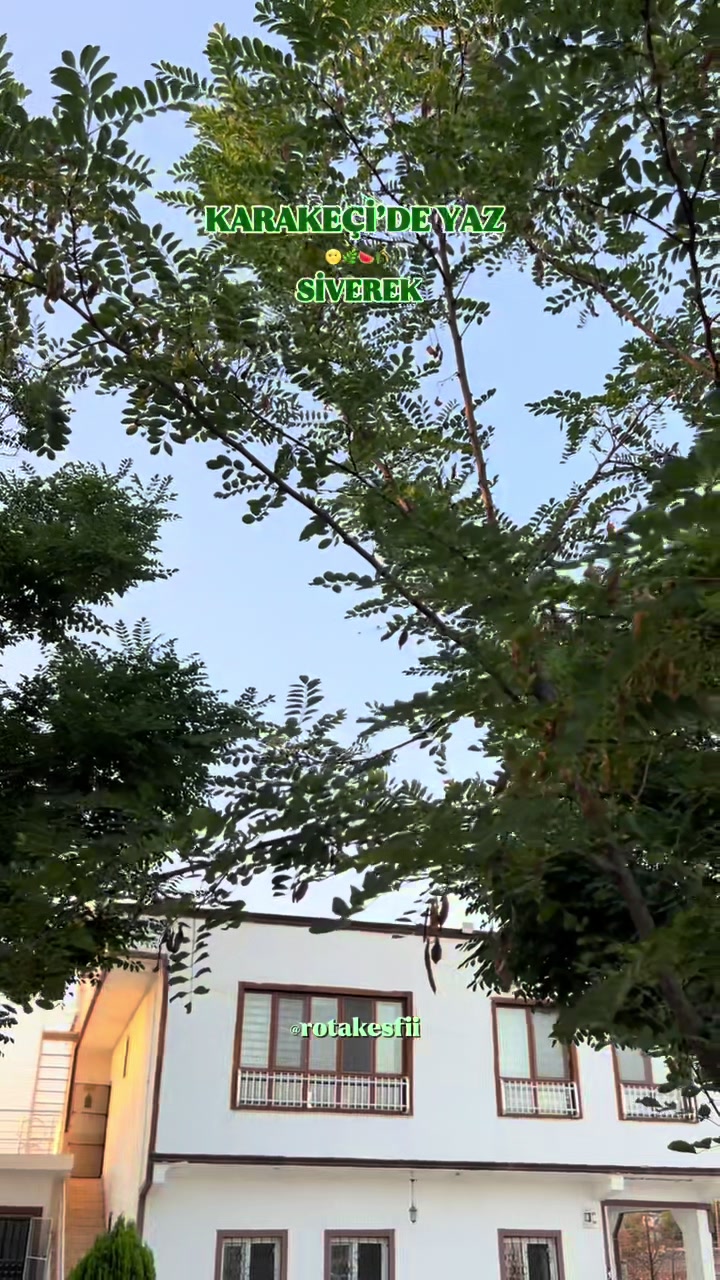 @Rota Keşfii