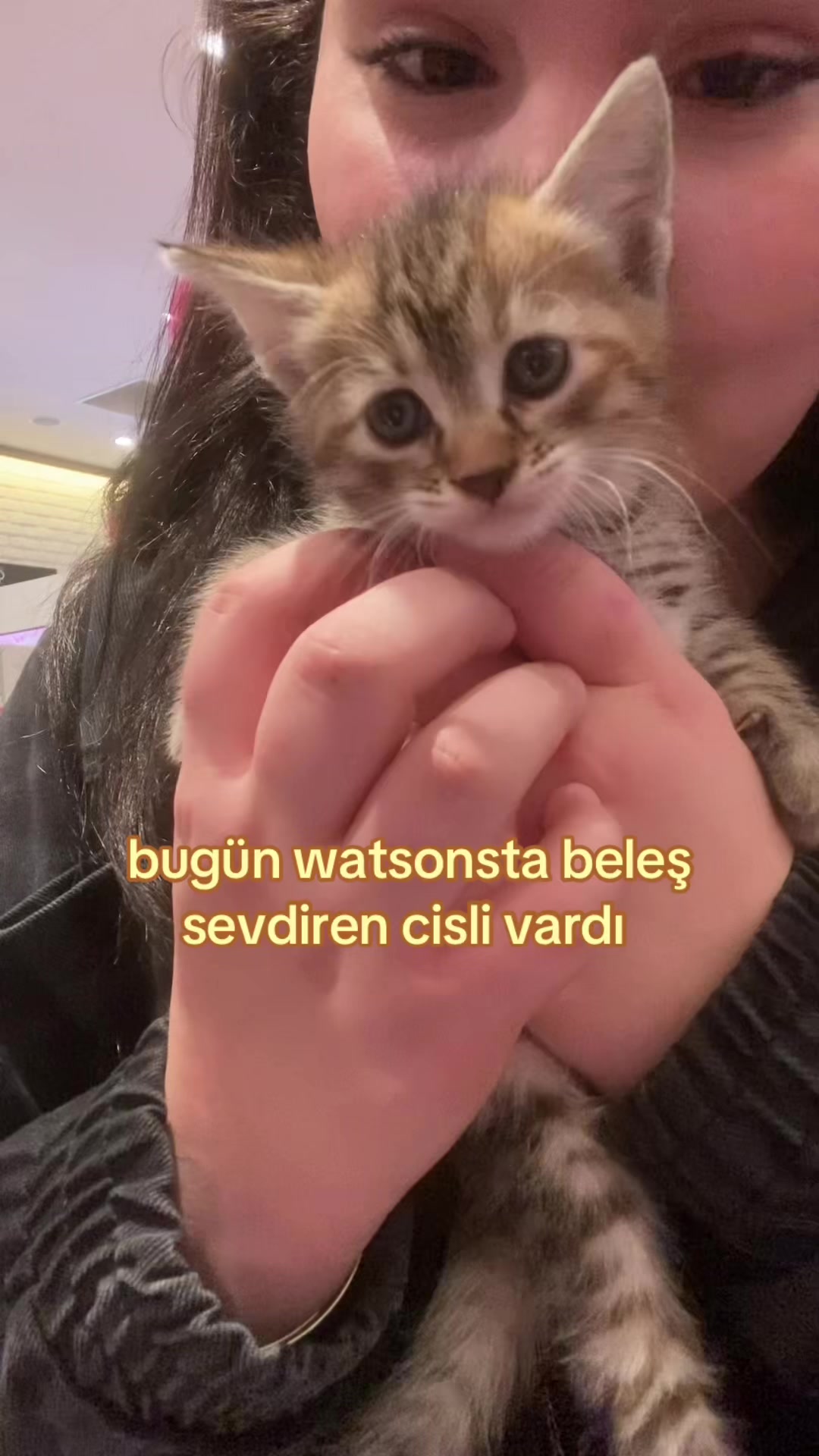 @meow