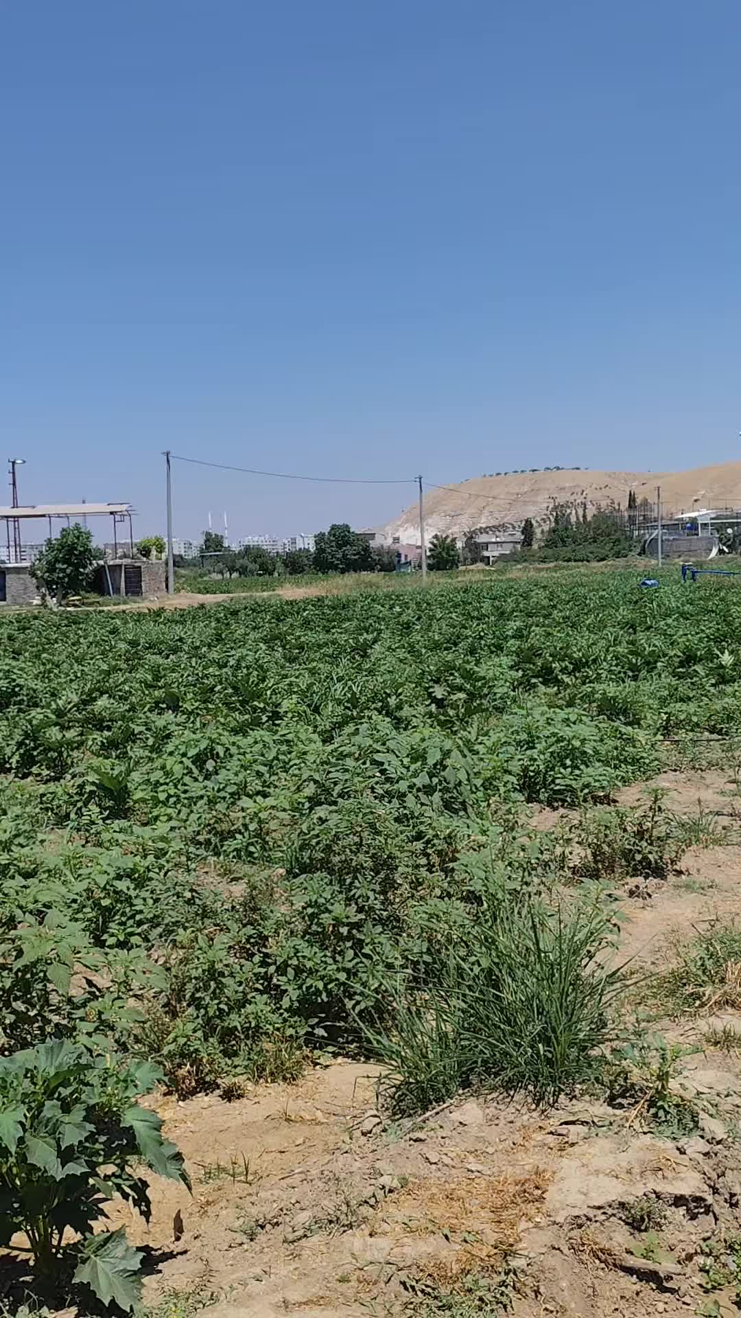 @şef Ayhan Gunes