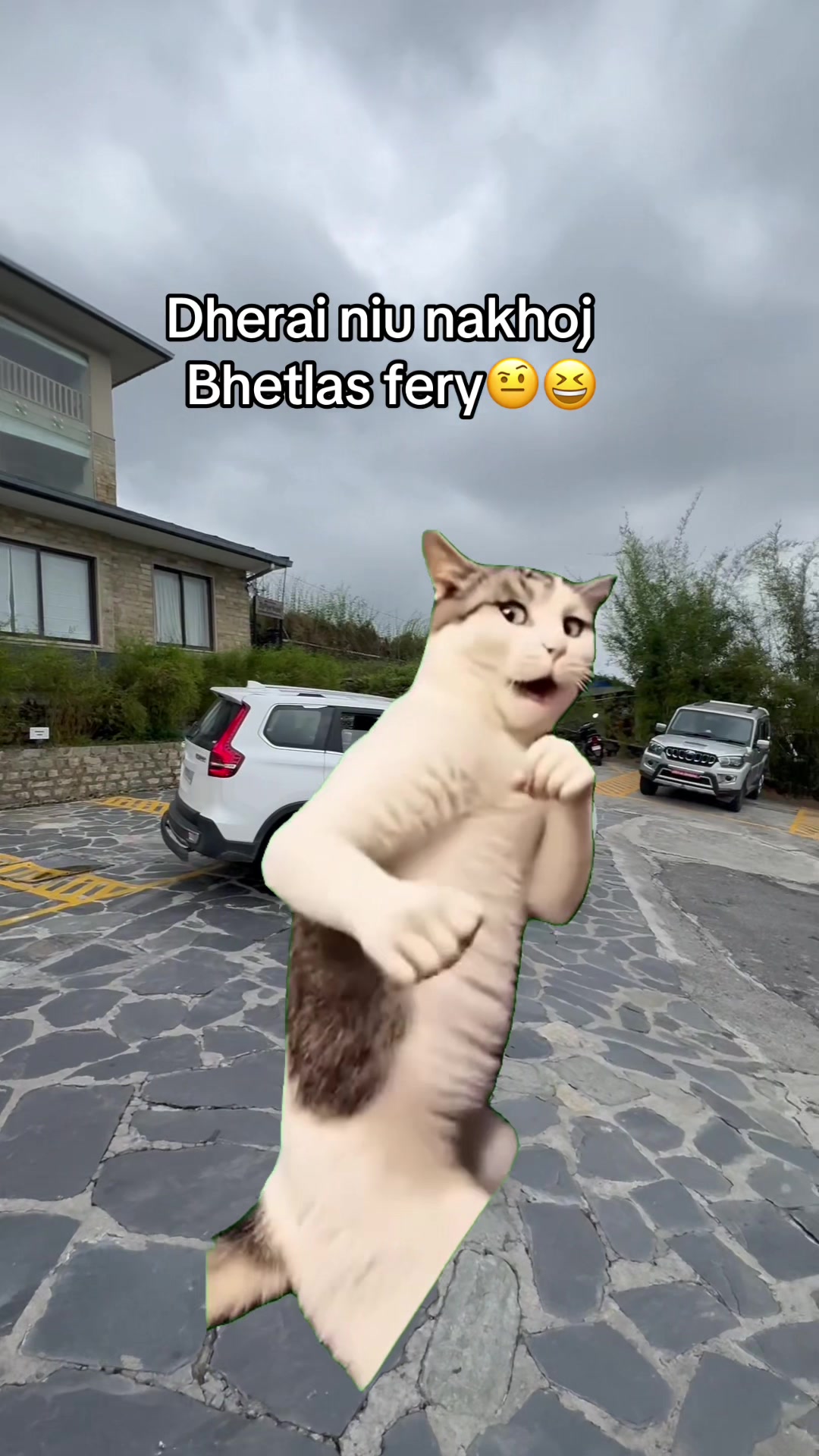 @MR Chhetri❤️&zwj;🩹💀