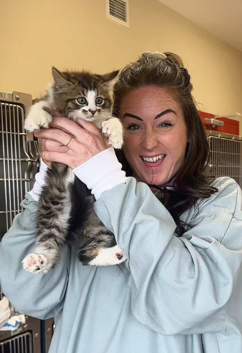 @Bide Awhile Animal Shelter