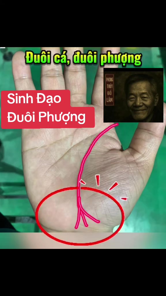 @Nh&acirc;n Tướng Sửa M&igrave;nh (Đỗ L&acirc;m)