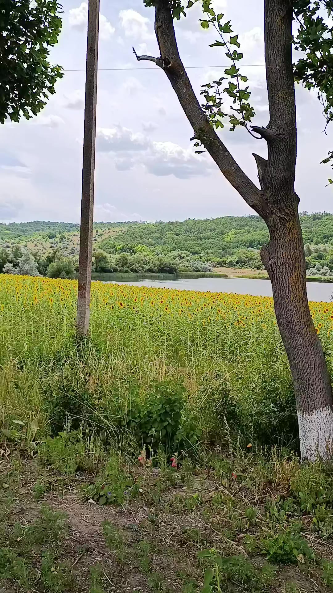@Заєбусінка