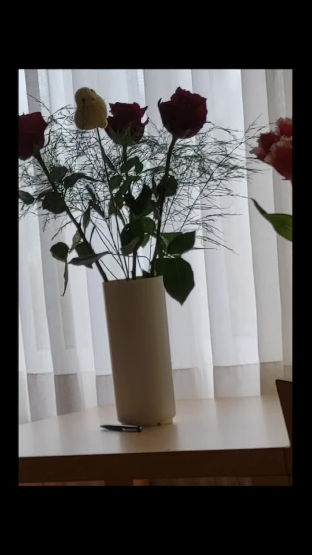 @oliver berlin 36