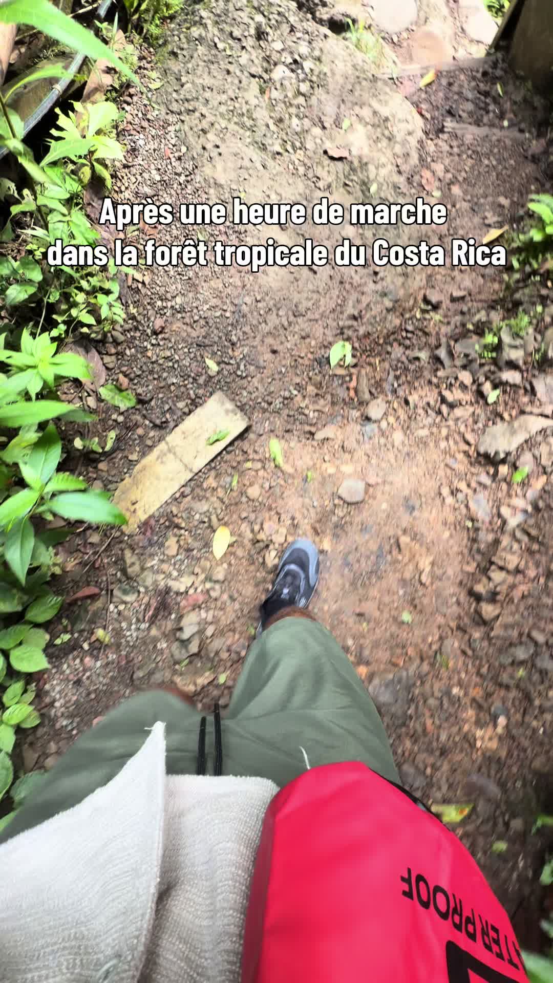 @carlotaone