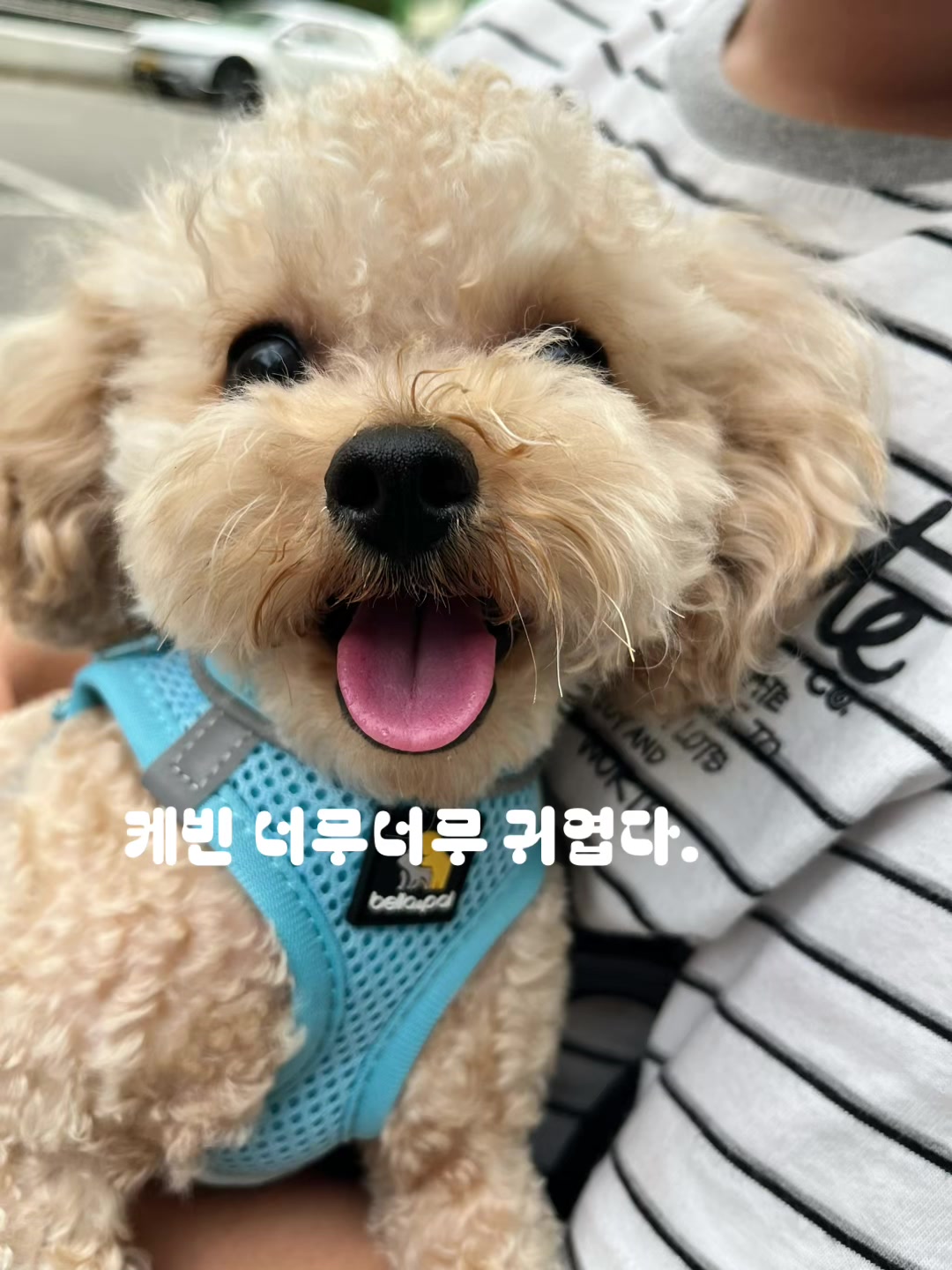 @노는게 제일 좋은 강둥이