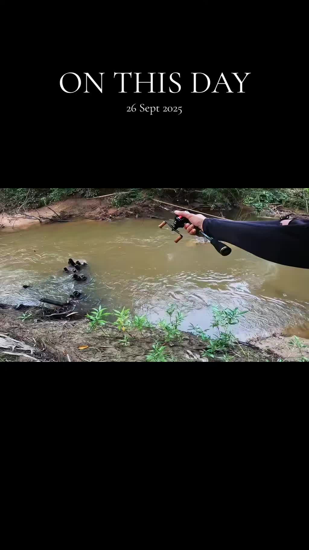@Damz Strike Fishing
