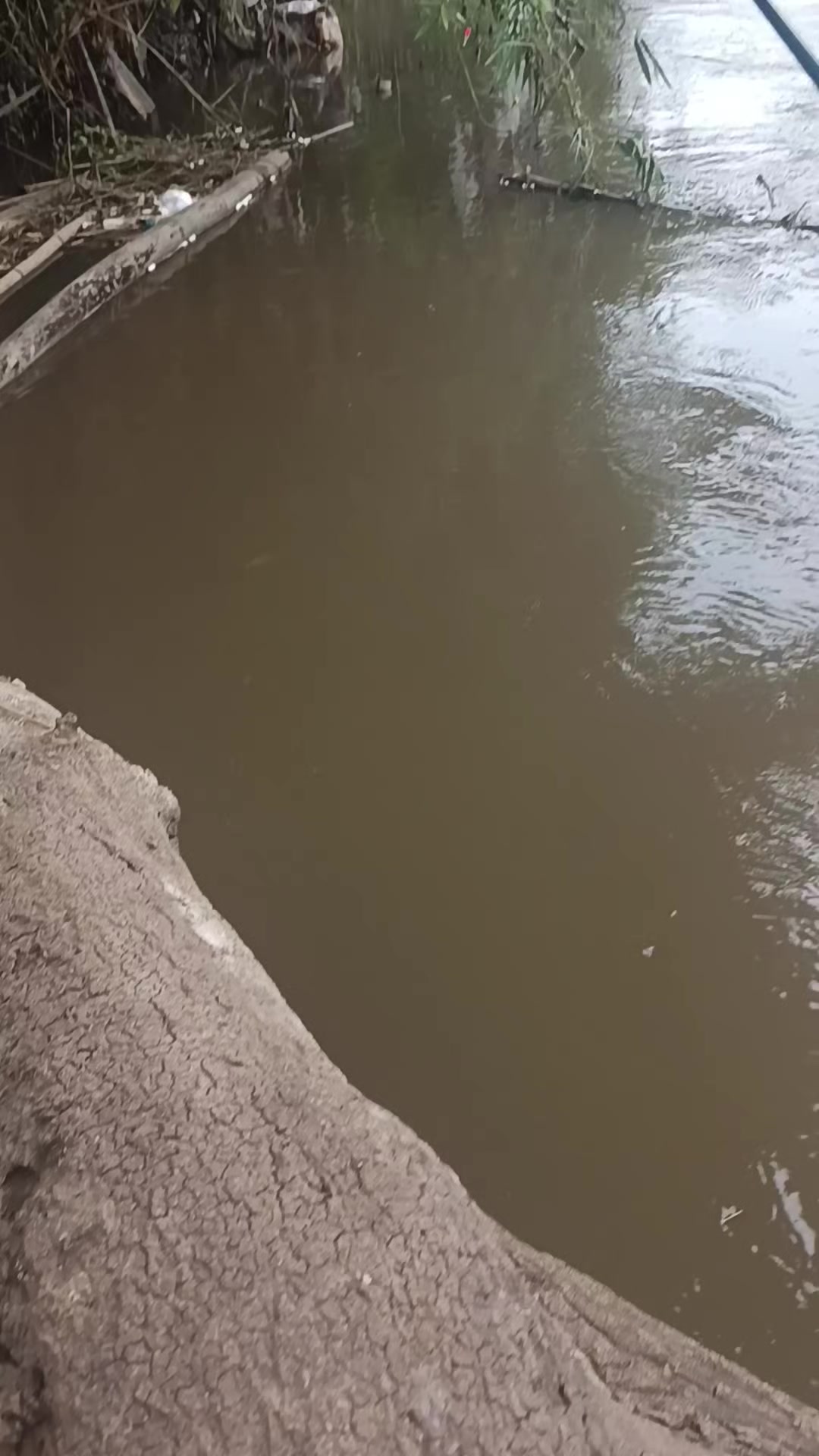 @orupnaselfishing