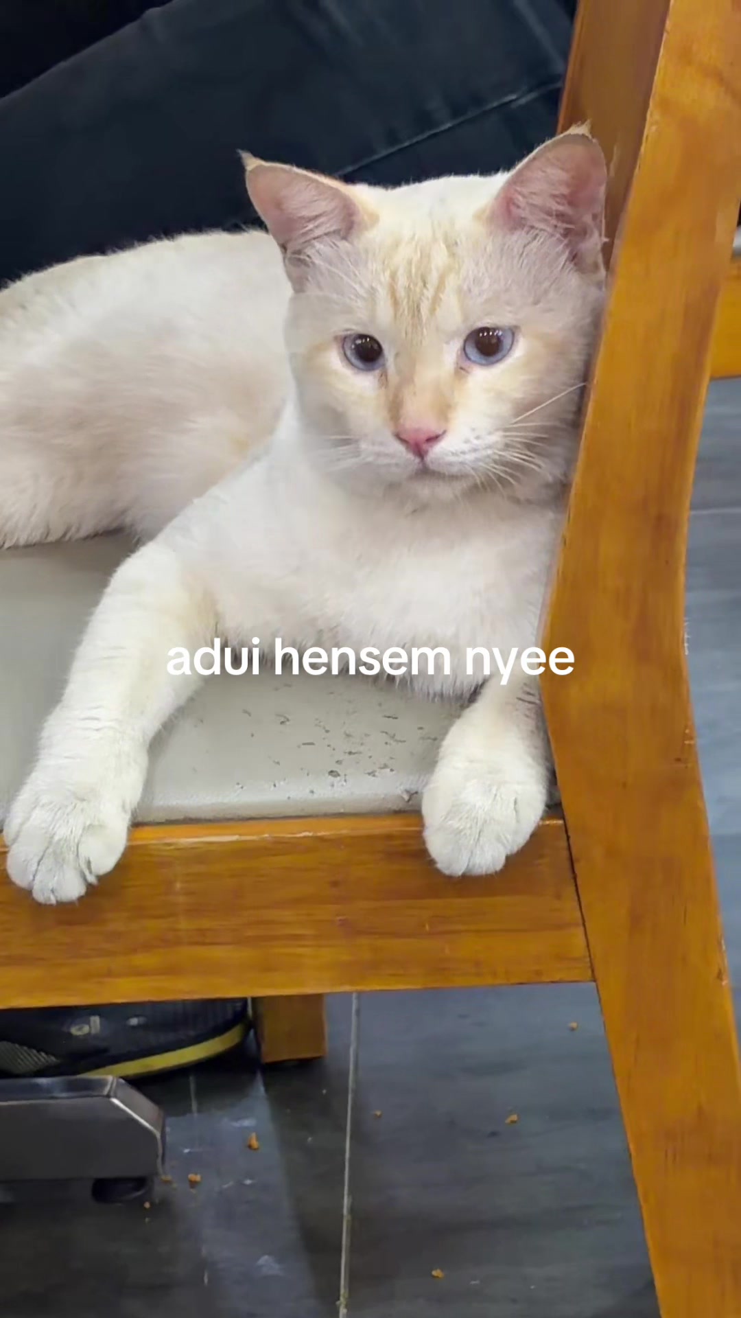 @zeel