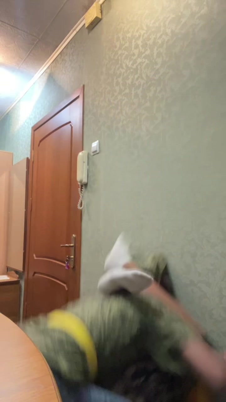 @dasha