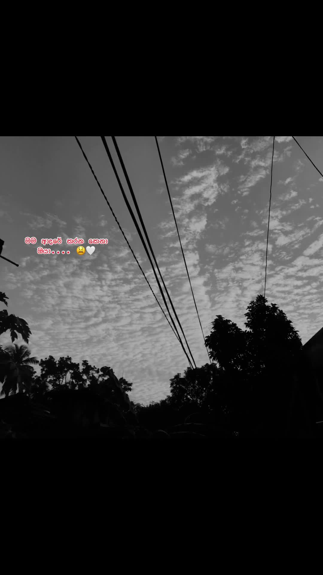 @ɴᴀᴛᴜʀᴇ ᴘʀᴏᴍɪsᴇs