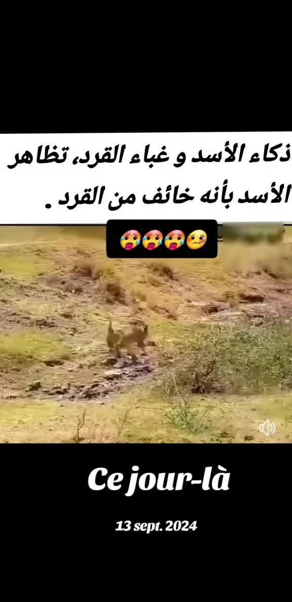 @@leila. ليلى