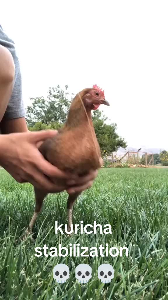 @neauraww