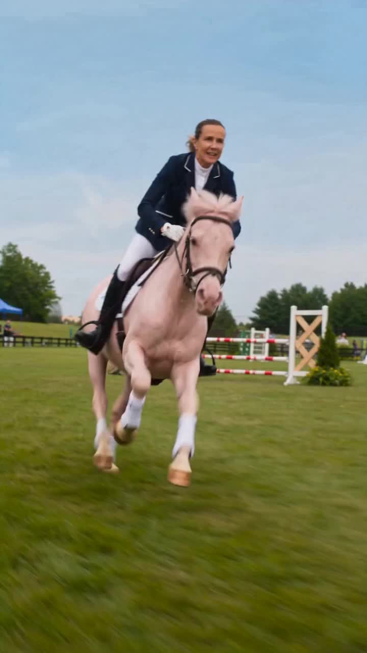@DressageHub