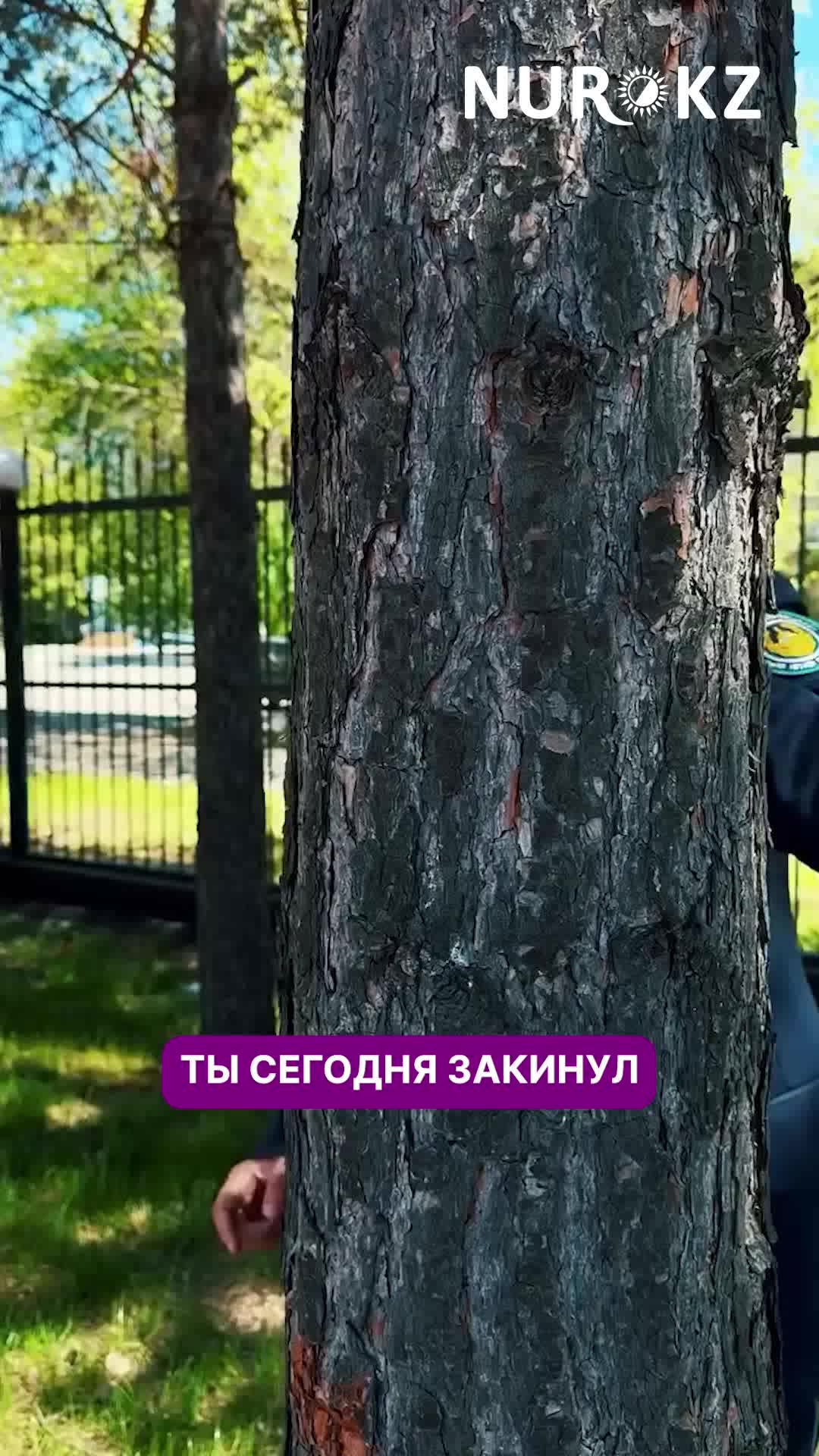 @NUR.KZ