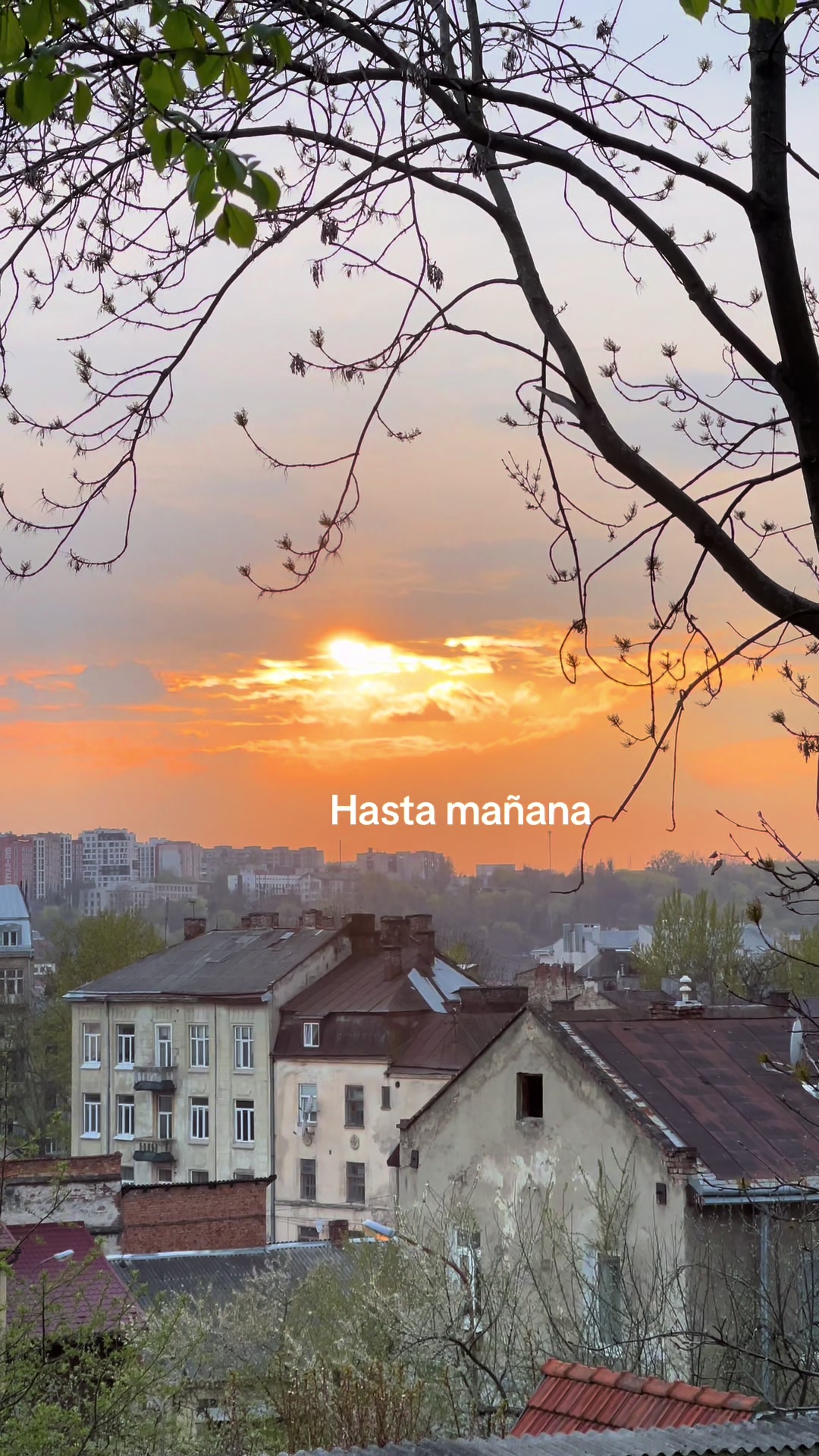 @Лика Орлова