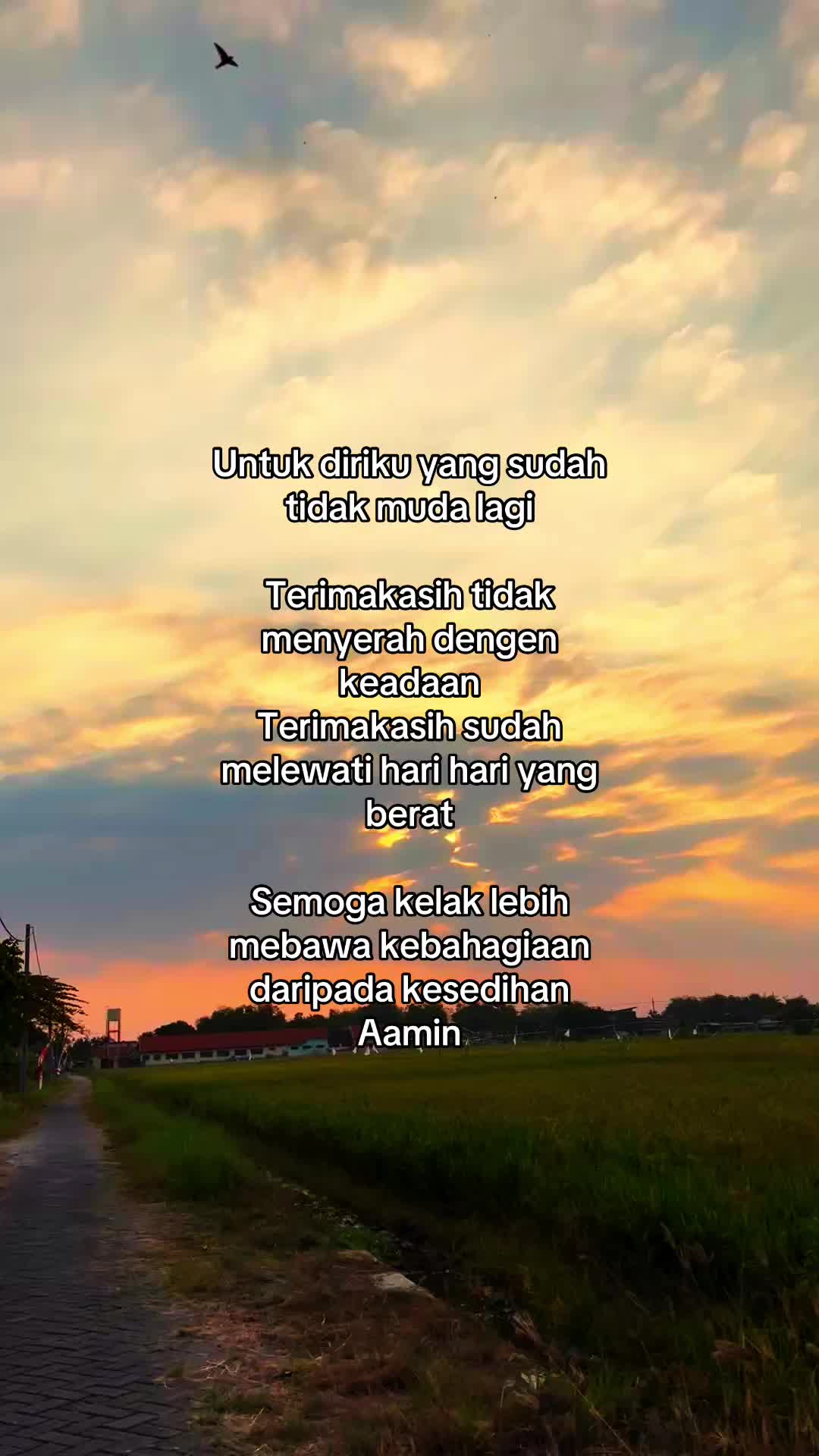 @ms_im11