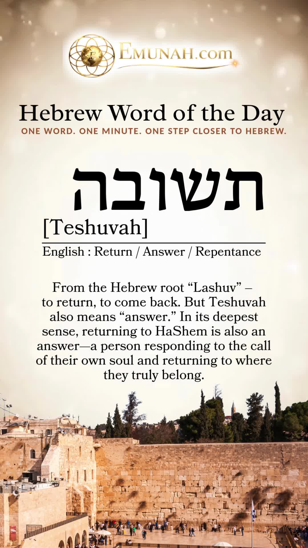 @Rav Dror