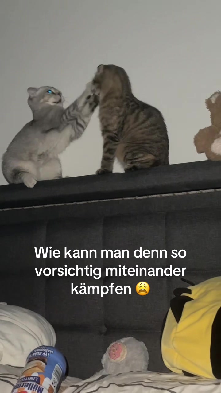 @Divaurteilt