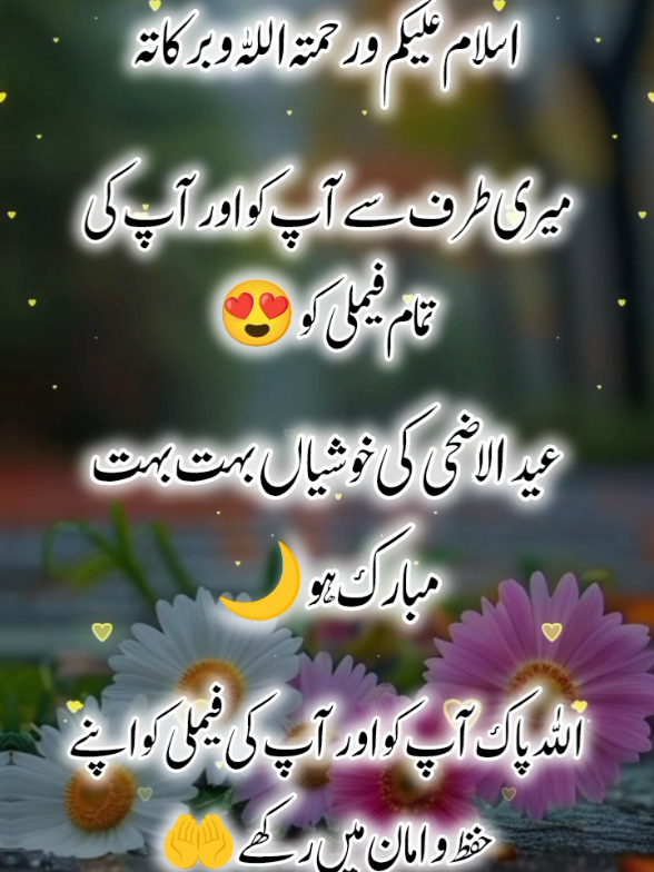 @اردو شاعری 🦋