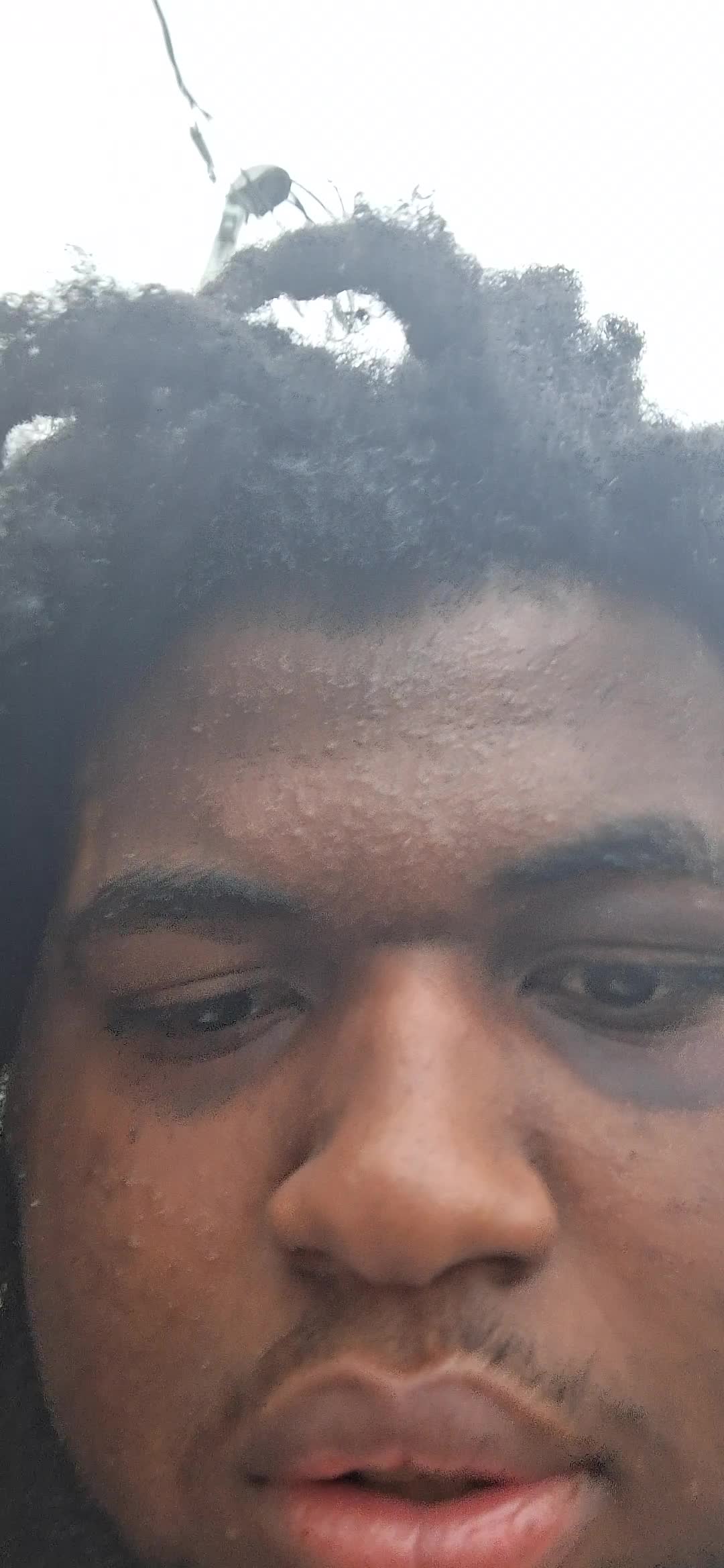 @Andre Reqiuem