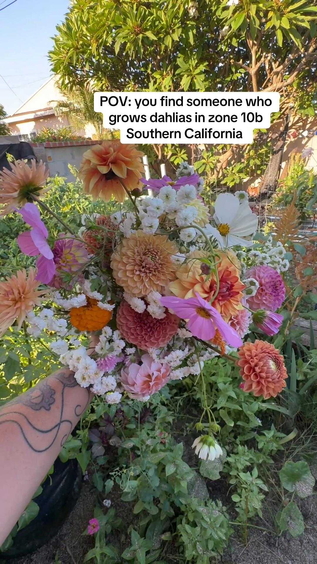 @Rylee’s Blooms