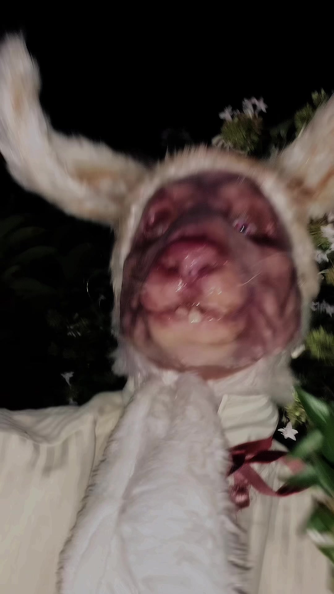 @faeparadise6