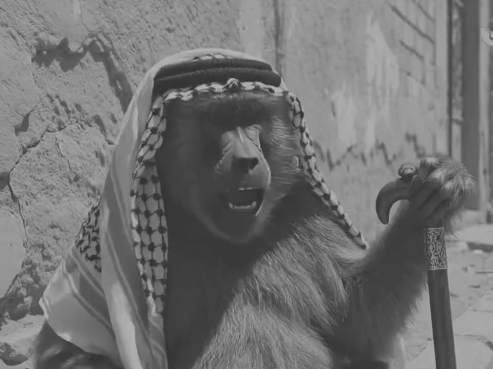@عباس || ABAS