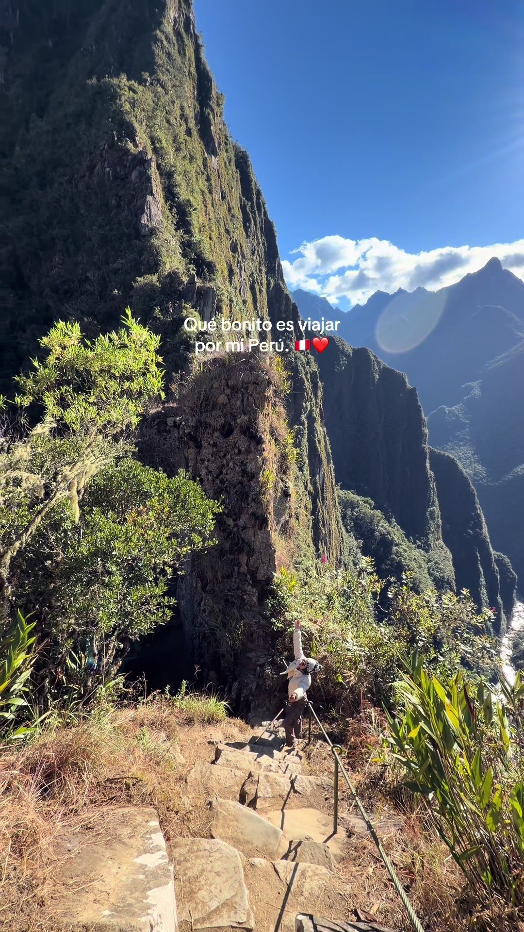 @Diana Fernandez | Abogada