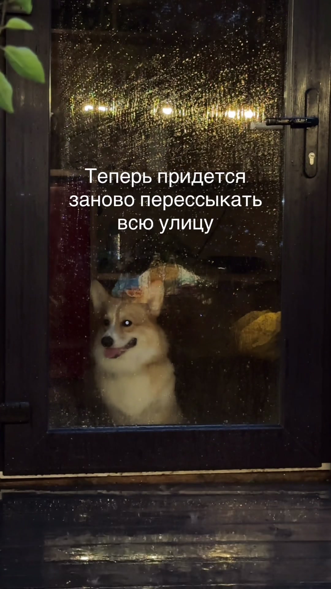 @Vlada & Santos