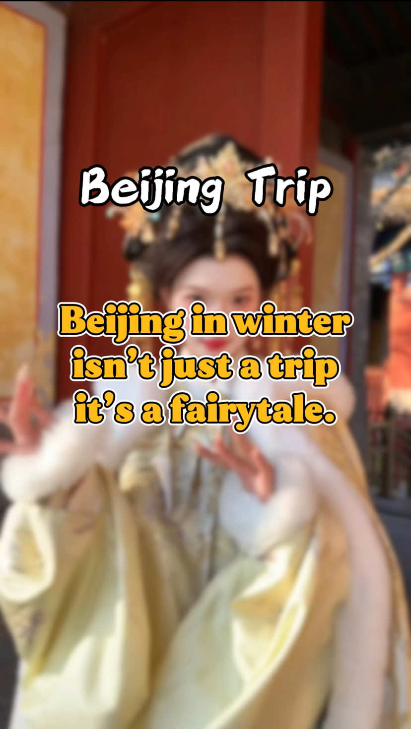 @金马国旅