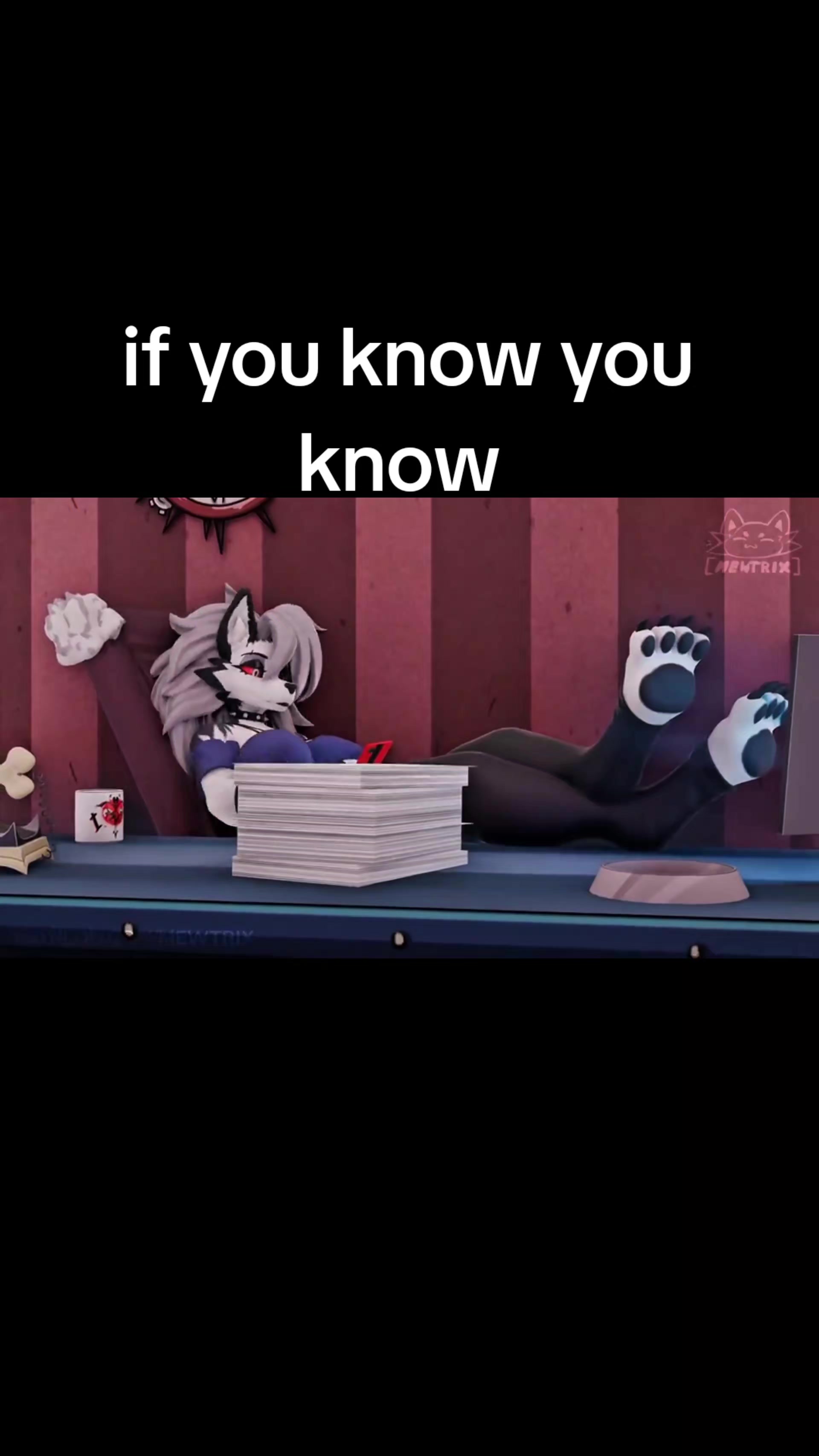 @THE SLY Rexouium