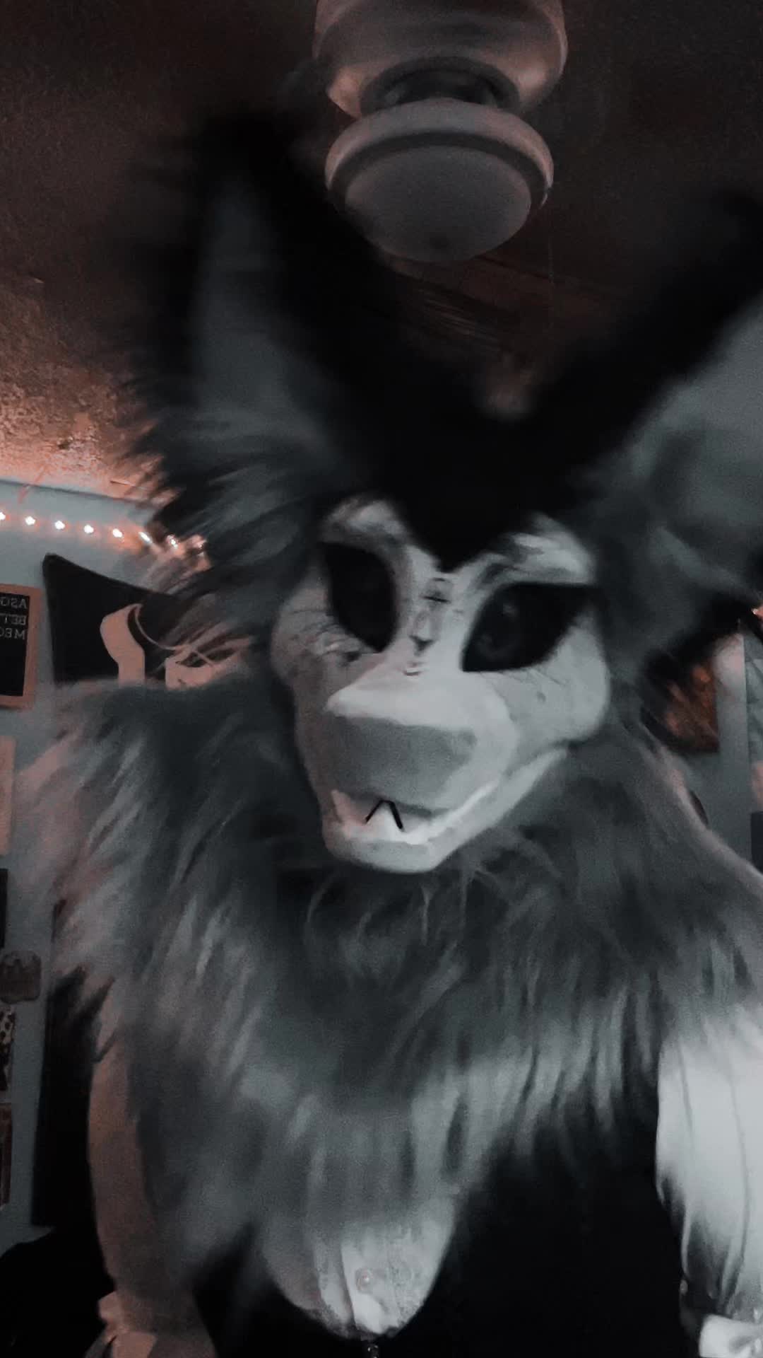 @Arin🦿Average Terzo Enjoyer