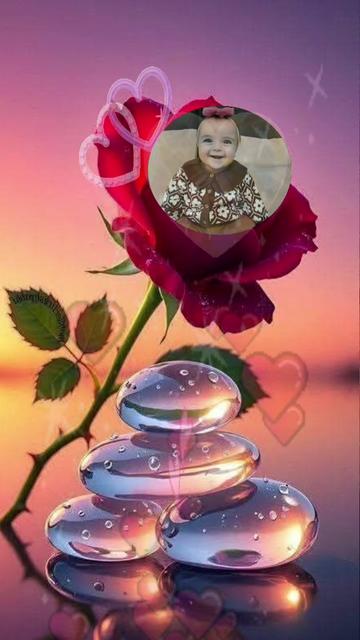 @yusuf56 yiğitcan56